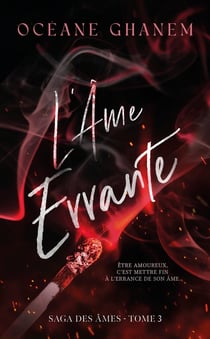 La saga des âmes Tome 3 : L'Âme errante
