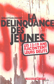 La délinquance des jeunes - les 13-19 ans racontent leurs délits