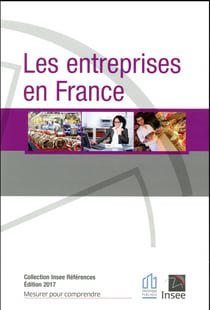 LES ENTREPRISES EN FRANCE 2017