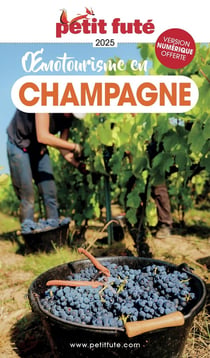 Guide Oenotourisme En Champagne 2026 Petit Futé