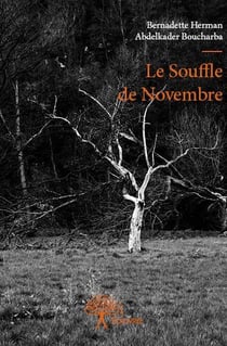 Le souffle de novembre
