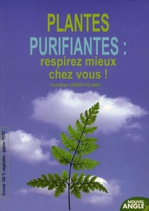 Plantes purifiantes : respirez mieux chez vous !