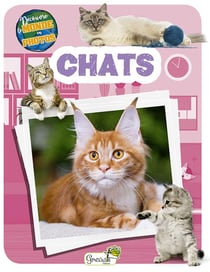 Découvre le monde en photos : chats