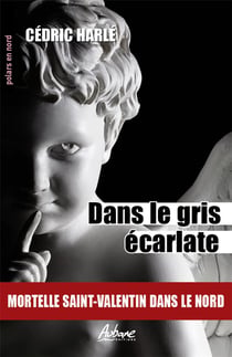 Dans le gris écarlate : Mortelle Saint-Valentin dans le Nord