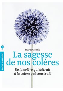 La sagesse de nos colères - de la colère qui détruit à la colère qui construit