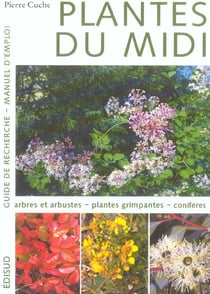 Plantes du midi - t01 - plantes du midi - guide de recherche, manuel d'emploi - tome 1 - [arbres et