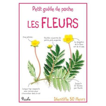 Les fleurs - identifie  fleurs