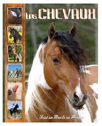 Tout un monde en photos : les chevaux