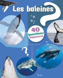 40 questions/réponses : Les baleines
