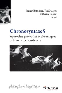 ChronosyntaxeS : Approches processives et dynamiques de la construction du sens