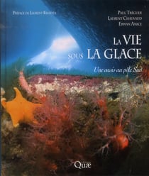 La vie sous la glace - une oasis au pôle sud