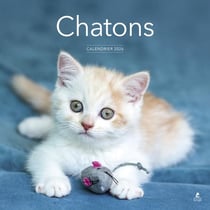 Chatons (édition 2026)