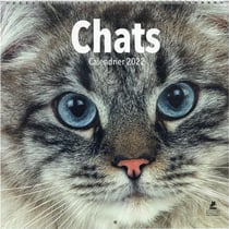 Chats : calendrier (édition 2022)