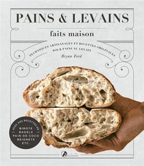 Pains et levains faits maison : techniques artisanales et recettes originales pour pains au levain