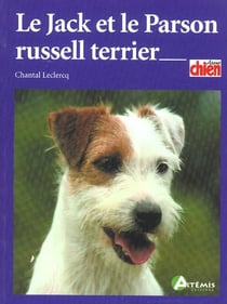 Le jack et le parson russell terrier