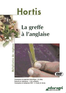 La greffe a l'anglaise