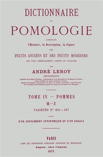 Dictionnaire de pomologie Tome 4 - pommes, M-Z