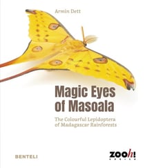 Magic eyes of Masoala : the colourful lepidoptera of Madagascar rainforests