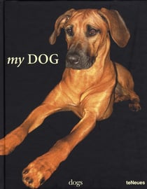 Dog (my)