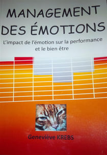 Management des émotions : l'impact de l'émotion sur la performance et le bien-être