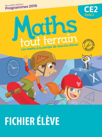 Maths tout terrain : CE2 - fichier élève - programme 2016