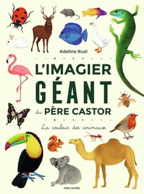 L'imagier géant du Père castor - la couleur des animaux
