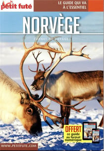 Carnet de voyage : Norvège (édition 2019)