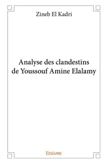 Analyse des clandestins de Youssouf Amine Elalamy