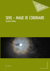 Sens - Magie de l'ordinaire
