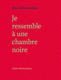 Je ressembleàa une chambre noire