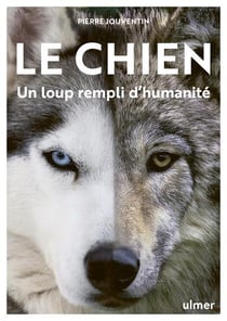 Le chien, un loup rempli d'humanité