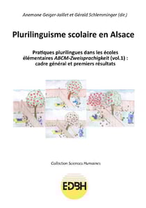 Plurilinguisme scolaire en Alsace : pratiques plurilingues dans les ecoles elementaires ABCM-Zweisprachigkeit Tome 1 : cadre général