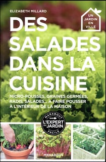 Des salades dans ma cuisine