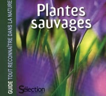 Plantes Sauvages : Guide Tout Reconnaitre Dans La Nature