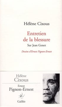 Entretien de la blessure, sur jean genet