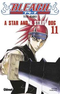 Bleach Tome 11 : a star and a stray dog
