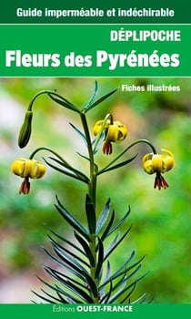Fleurs des pyrénées