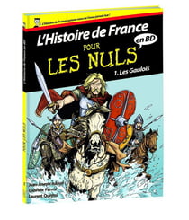 L'histoire de France en BD pour les nuls Tome 1 - les Gaulois