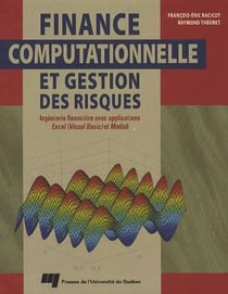 Finance computationnelle et gestion des risques - ingénierie financière avec applications excel (Visual Basic) et Matlab
