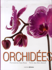Orchidées