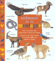 Les animaux de la montagne