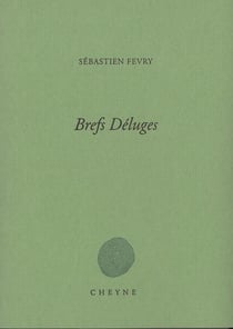 Brefs déluges