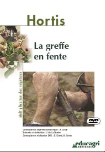 La greffe en fente