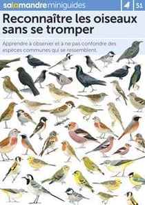 Miniguide 51 - Reconnaître les oiseaux