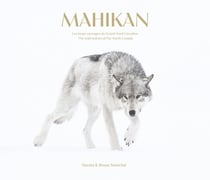 Mahikan : Les Loups Sauvages du Grand Nord Canadien