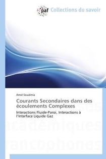 Courants secondaires dans des écoulements complexes - interactions fluide-paroi, interactions à l'interface liquide gaz