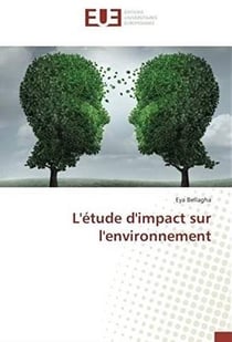 L'étude d'impact sur l'environnement