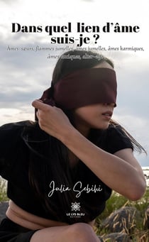 Dans quel lien d'âme je suis ? : Âmes-soeurs, flammes jumelles,âmes jumelles, âmes karmiques,âmes toxiques, alter-ego