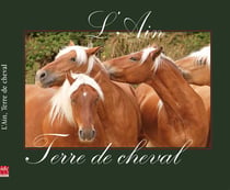 L'Ain Terre De Cheval