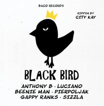 Black bird